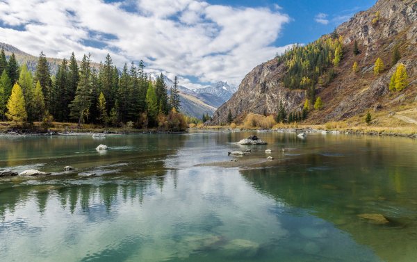 Река Бия Алтайский край