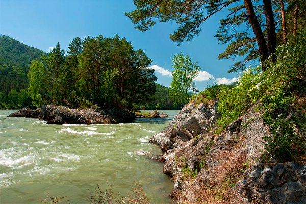 Горно Алтайск река Катунь