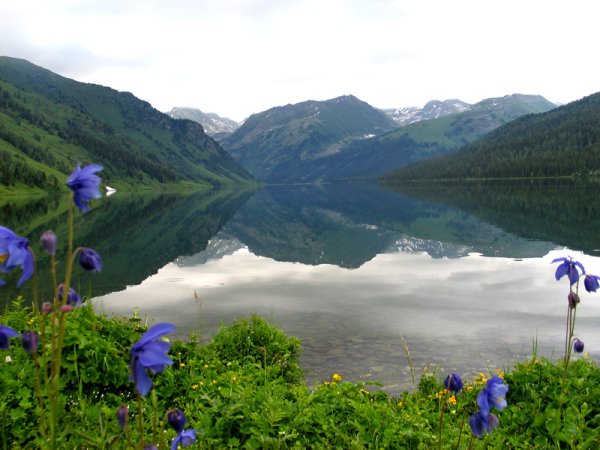 Тальменное озеро Алтай