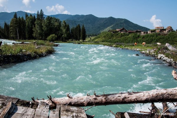 Катунь река Алтай