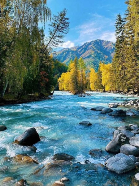 Алтай река Кучерла
