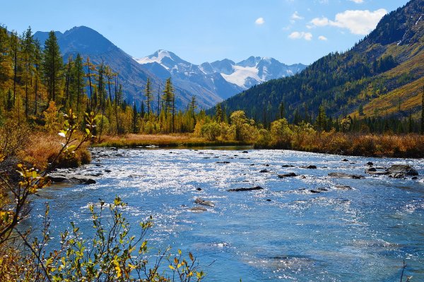 Алтайский край Телецкое озеро горный Алтай горы лес
