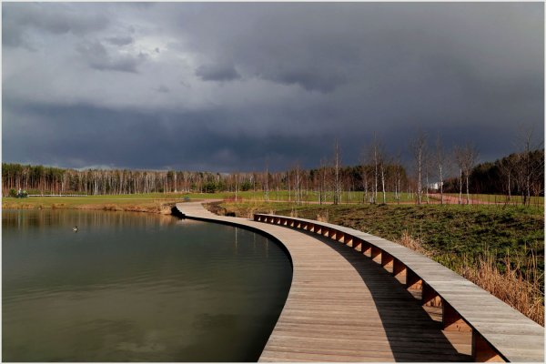 Мещерский лес лесопарк