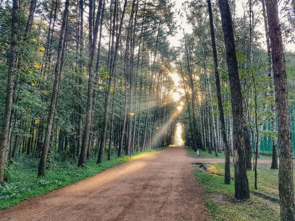 Мещерский парк Переделкино