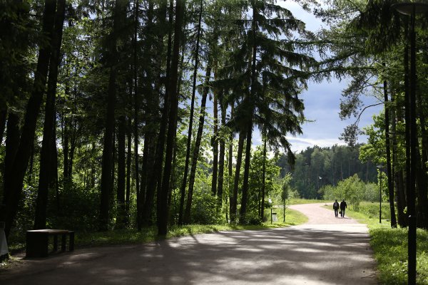 Мещерский парк Солнцево