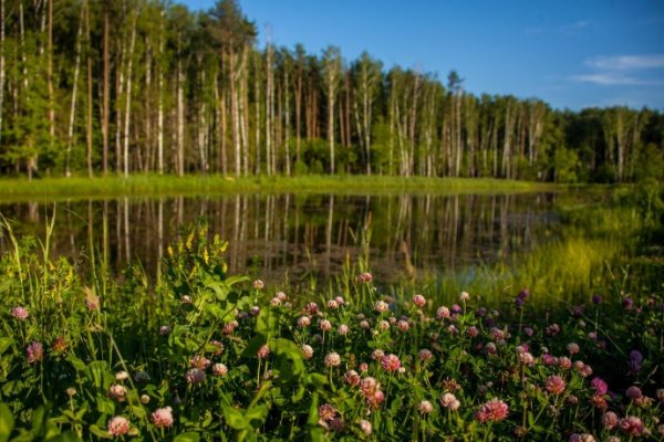 Мещерский парк