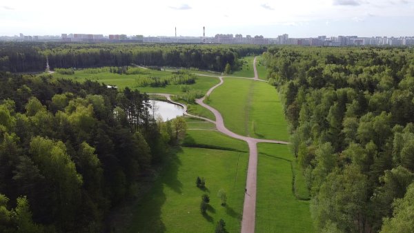 Мещерский парк Сколково
