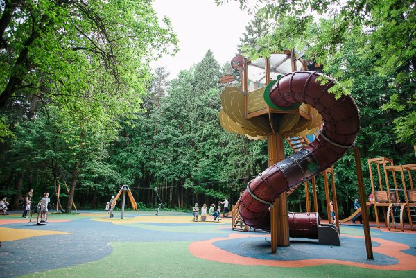 Мещерский лесопарк Москва