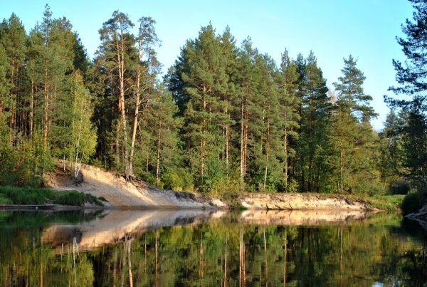 Парк Мещерский Рязань