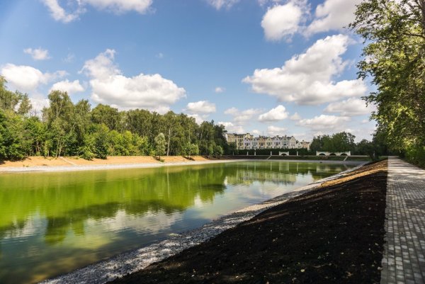 Озеро в Солнцево Мещерский лес