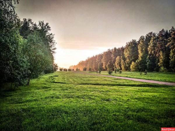 Парк Мещера Москва