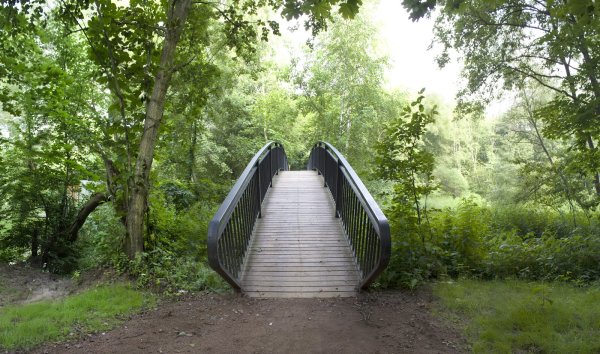 Мещерский лес лесопарк