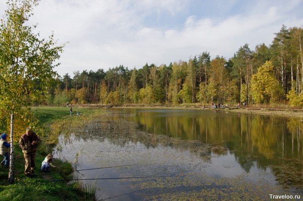 Мещерский лесопарк