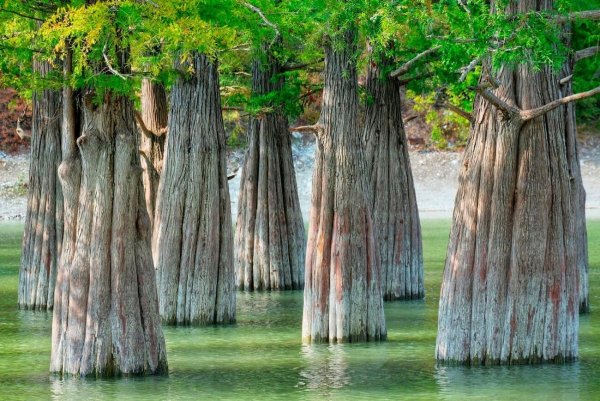 Озеро Сукко в Анапе