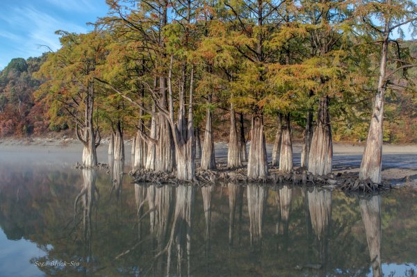 Кипарисовое озеро Абрау