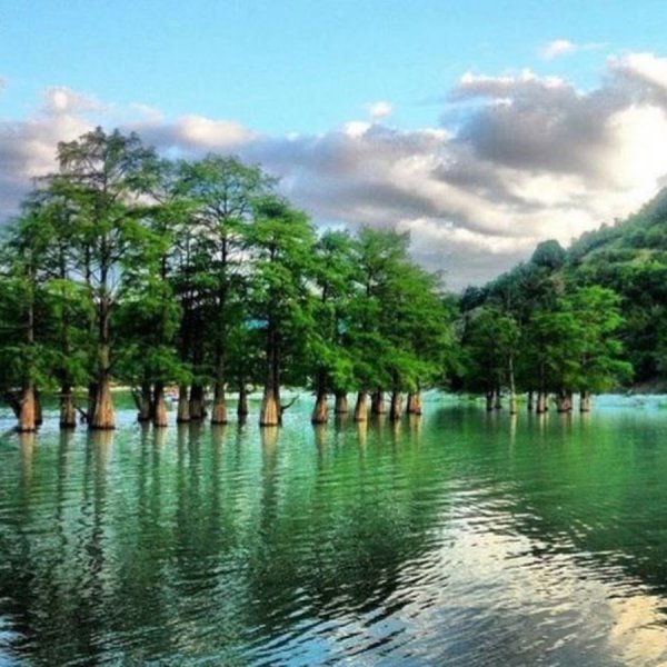 Кипарисовое озеро в Анапе