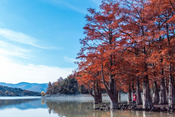 Кипарисовое озеро Сукко