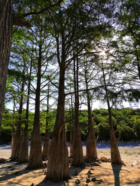 Кипарисовое озеро Сукко