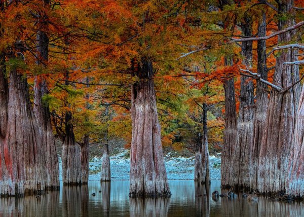 Кипарисовое озеро Сукко