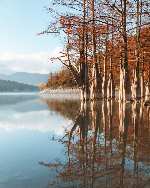 Кипарисовое озеро в Анапе