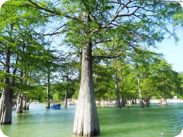 Кипарисовое озеро в Анапе