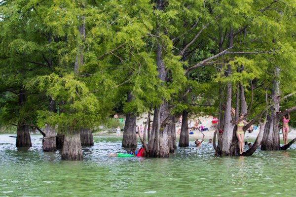 Сукко озеро с кипарисами