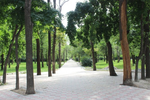 Дубовый парк Бишкек