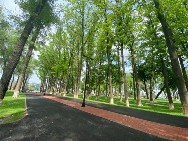 Парк Тулебердиева Бишкек