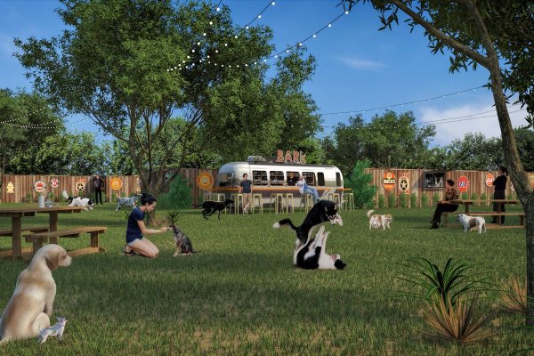 Jack Carter Park Dog Park