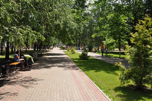 Город Россошь парк
