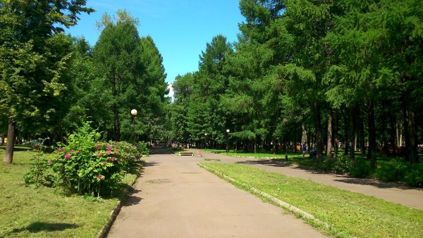 Городской парк Ярославль