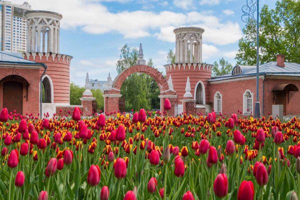 Воронцовский парк в Москве