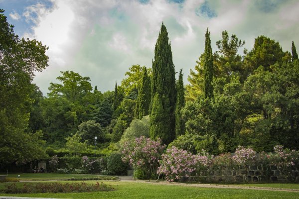 Воронцовский парк Алупка