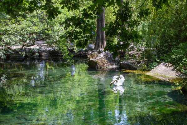 Воронцовский парк Алупка