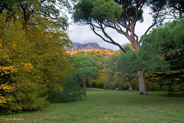 Воронцовский парк Алупка осень