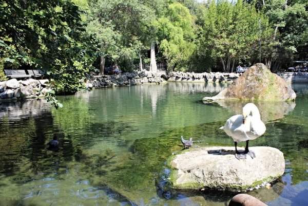 Воронцовский парк Крым