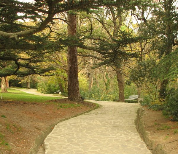 Алупкинский Воронцовский парк