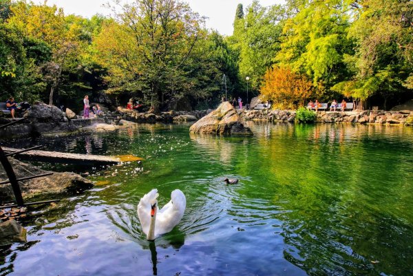Алупкинский Воронцовский парк