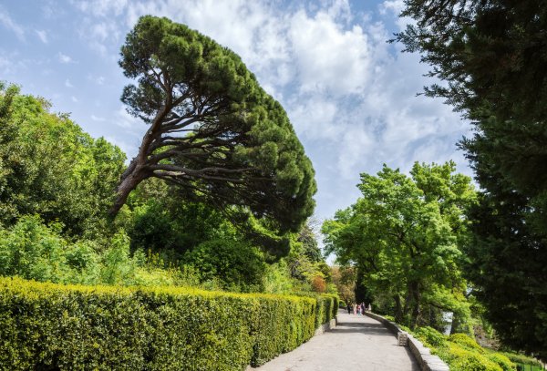 Воронцовский парк Алупка