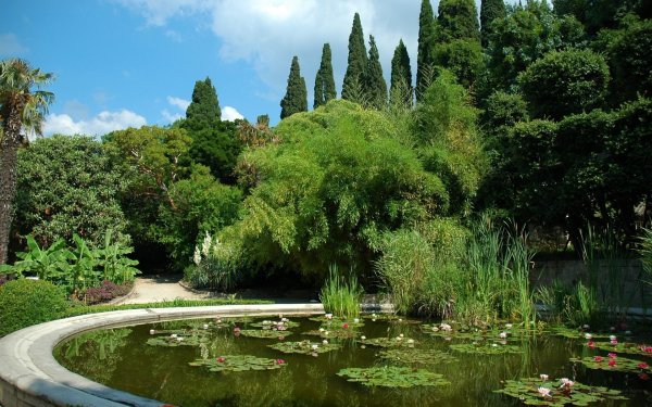 Никитский Ботанический сад в Крыму