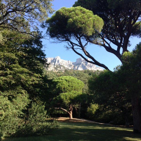 Воронцовский дворец парк