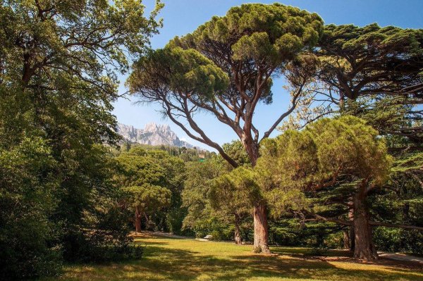 Воронцовский парк Алупка