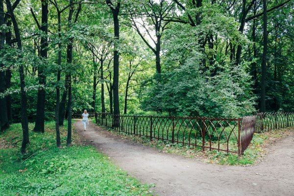 Воронцовский парк (парк-усадьба «воронцово»)