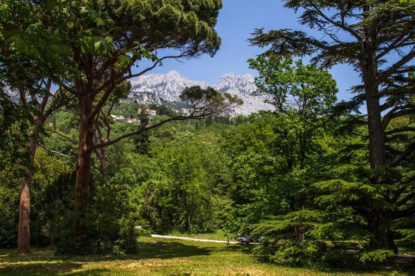 Воронцовский парк Крым Алупка