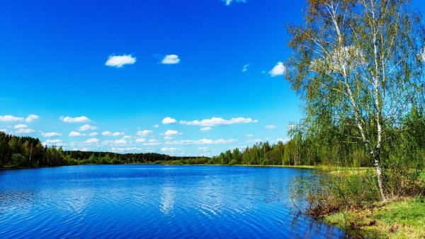 Озеро Березовое Самарская область
