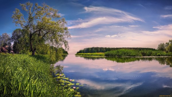 Весна озеро
