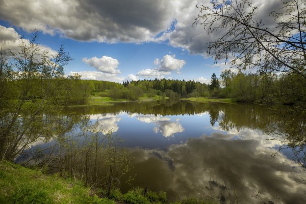 Река Волгуша Яхрома