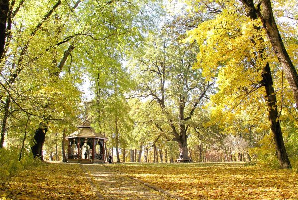 Осенний парк Софиевка