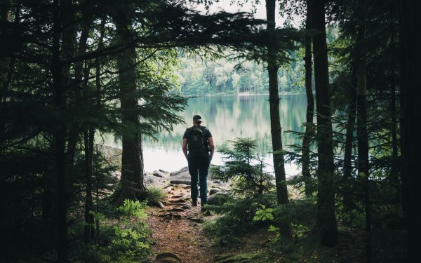 Человек в лесу