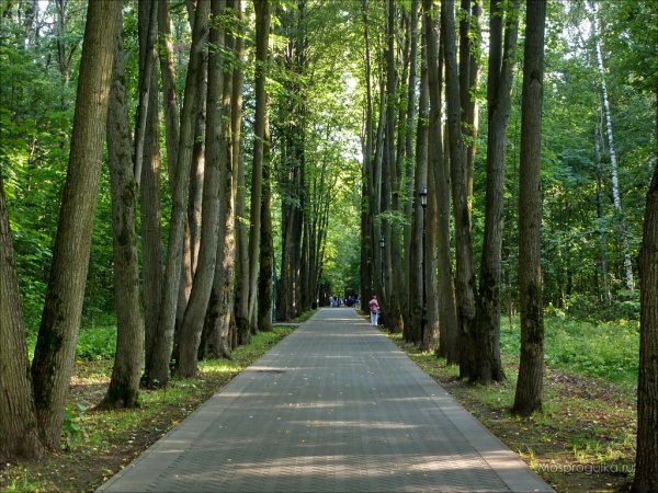 Останкинский парк в Москве